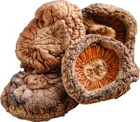 Shiitake