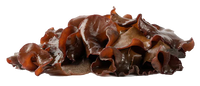 Auricularia