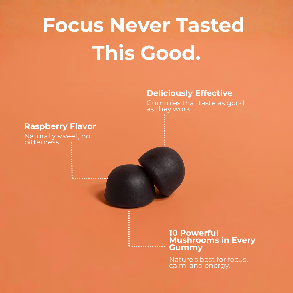 AVERA — Calm & Focus Gummies